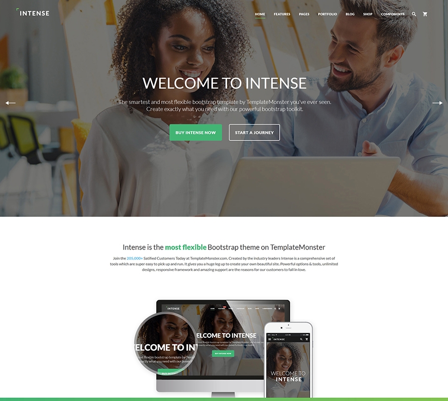 Intense Multipurpose Website Template